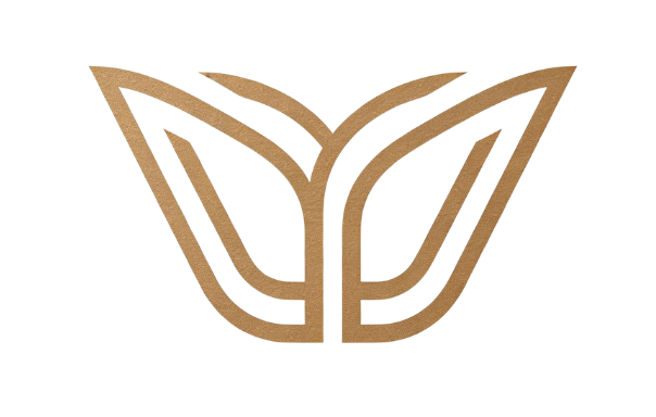 S-YOGA